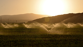 Field Irrigation